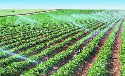做抽插网站农田高 效节水灌溉